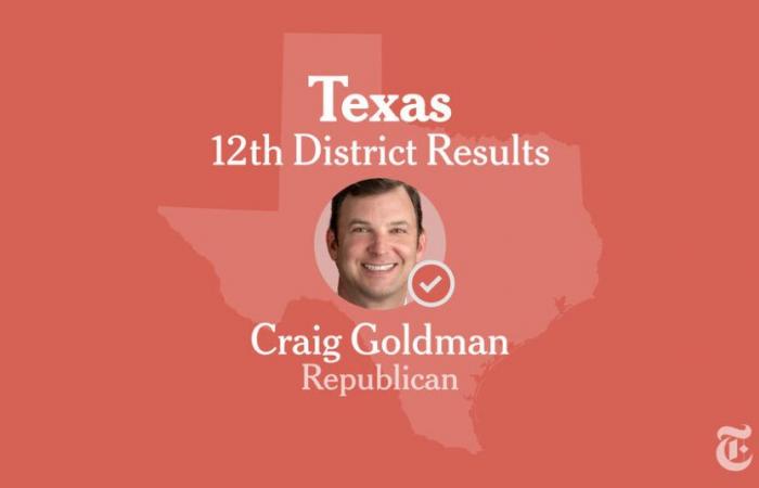 Texas 12th Congressional District Election Results 2024: Hunt vs. Goldman