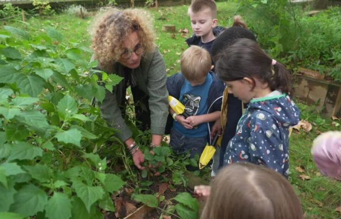 VIDEO – Goodbye asphalt, hello nature: the metamorphosis of playgrounds in schools