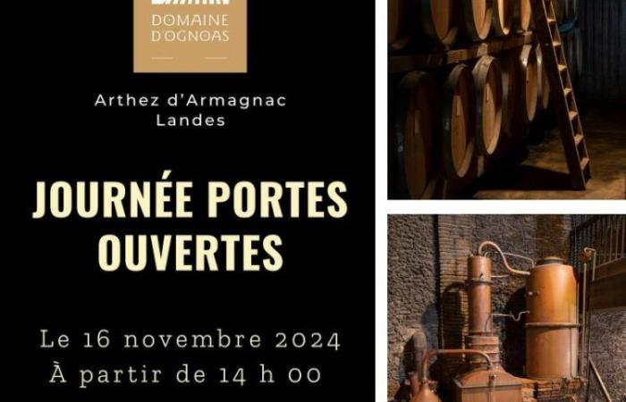 Ideas for outings – LANDES – Weekend of November 15