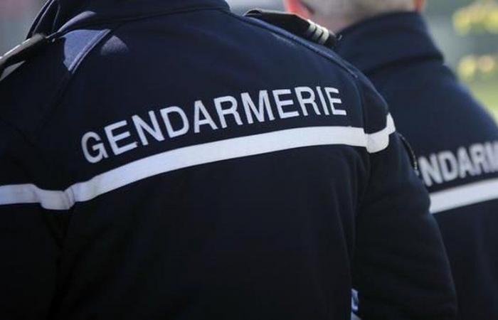 The gendarmes greeted with blows and insults as they tried to end a violent domestic dispute in Aveyron