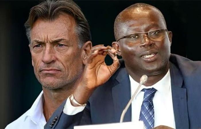 Staff lions – Me Senghor denies Hervé Renard: “I did not receive a file of his application” – Lequotidien