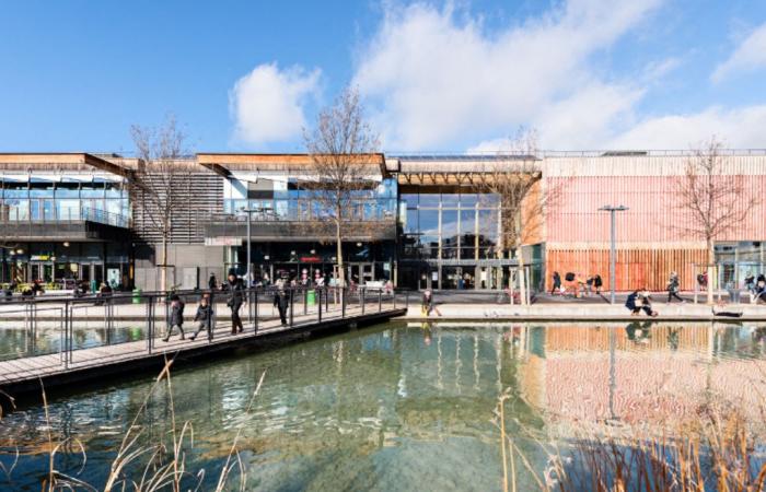 Grenoble. The sale of 10,000 Shein clothes falls apart in this shopping center