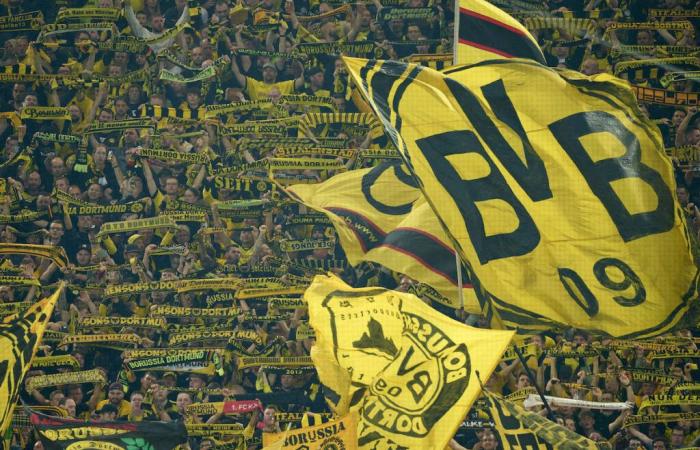 BVB News: Sahin can hope for these returnees!