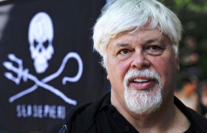 This city unfurls a huge banner in support of Paul Watson