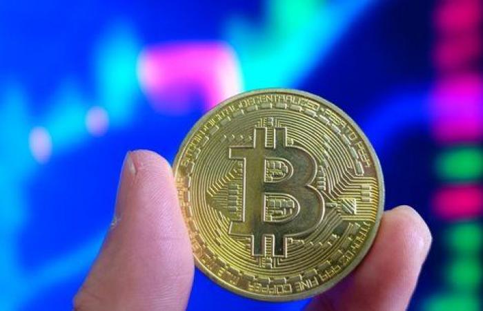 Bitcoin hits new record, driven by Trump victory