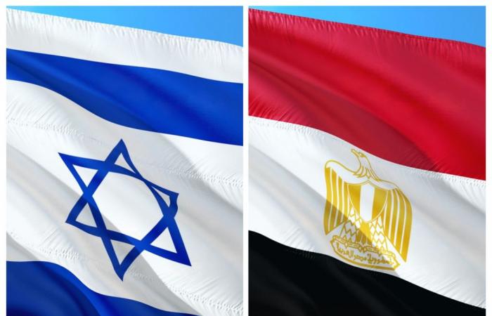 Request for arms embargo on Israel: Egypt joins Turkey’s appeal to the UN