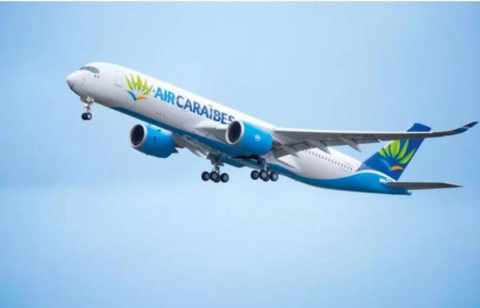 Air Caraibes and French Bee will increase the price of their plane tickets