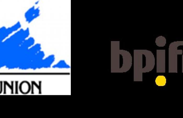 The Réunion Region and Bpifrance have launched the “Réunion Recovery Loan” intended to support the cash flow of VSEs and SMEs wishing to finance a development program – Bpifrance 2024