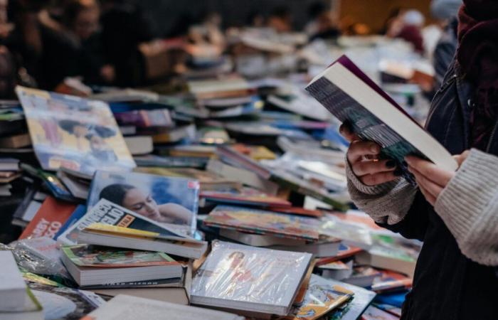 ESJ Lille opens its doors to the general public for its first book fair dedicated to journalism and the media – 06/11/2024