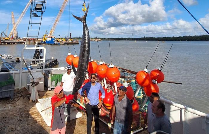 Soon tuna from Guyana on our plates?