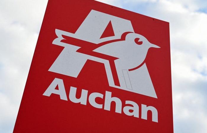 NARRATIVE. Auchan: how the brand went from a champion of mass distribution in the North to a group in difficulty