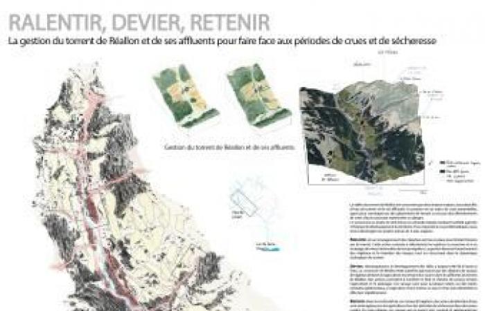 Avenues for the future of Réallon