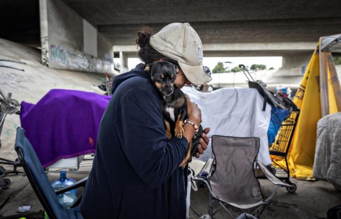 L.A. County voters decide homeless funding, expanding board of supes in 2024 election