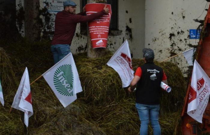 farmers demonstrate Thursday November 7