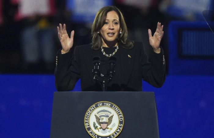 Can Kamala Harris Still Win the Election? States Still in Play