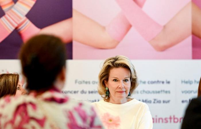 Queen Mathilde takes part in round tables for breast cancer research