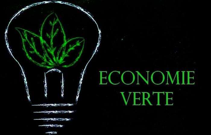 General States of the Green Economy 2024: Decarbonization, a global challenge (Press release) – VivAfrik