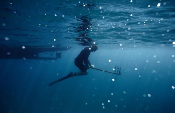 Vendée: a spearfishing trip turns into a tragedy for a 48-year-old man