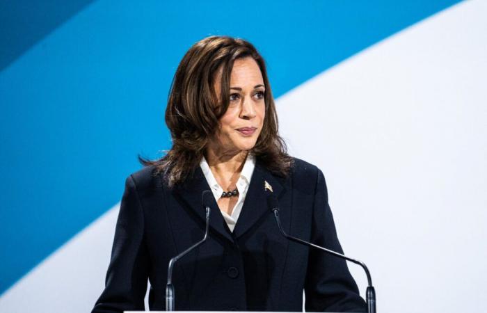 Why was Kamala Harris so soundly beaten by Donald Trump?