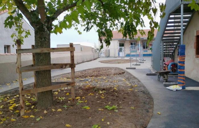 Nature takes back its rights on the bitumen in this school in the Nantes vineyard