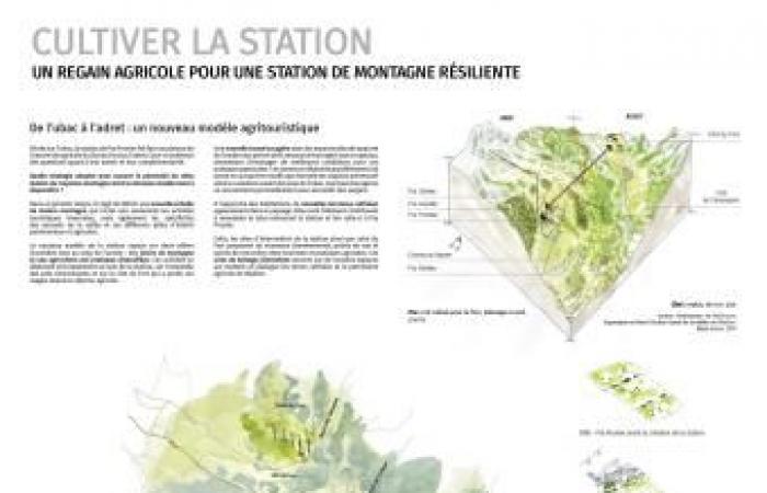 Avenues for the future of Réallon