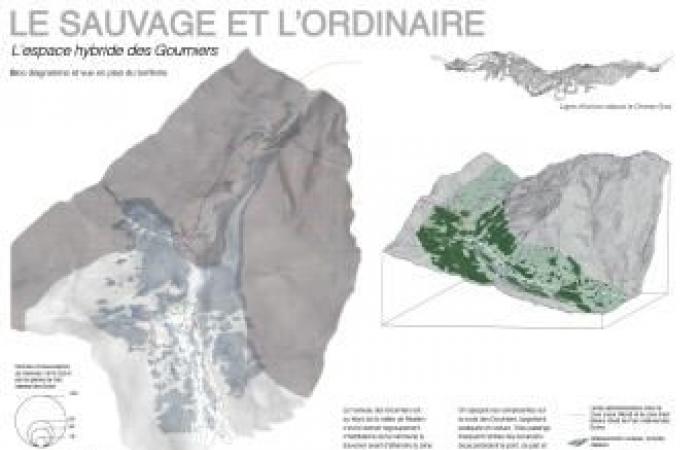 Avenues for the future of Réallon