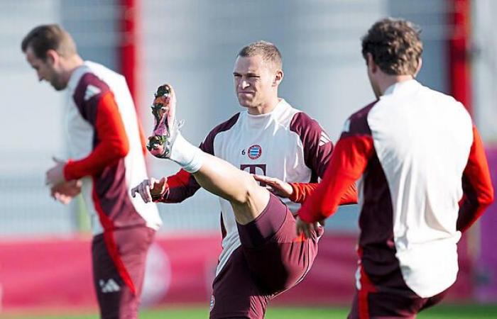 Palhinha: The man for the rough stuff in the engine room at FC Bayern