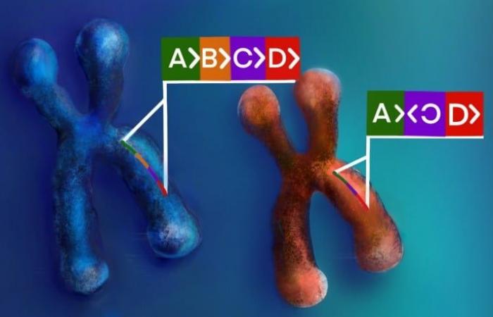 AI leads to major breakthrough in understanding genetic factors