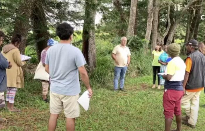 Agriculture in New Caledonia: The Bio Caledonia association strengthens training around the Bio Pasifika label