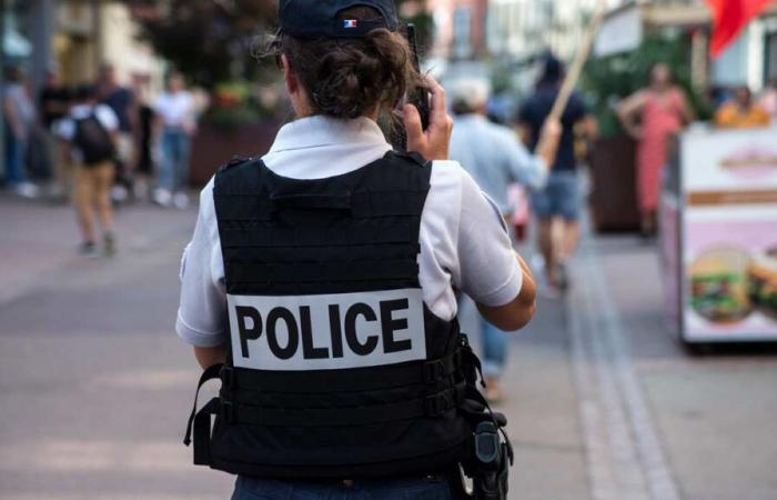 The national police are looking for deputy police officers in Seine-et-Marne