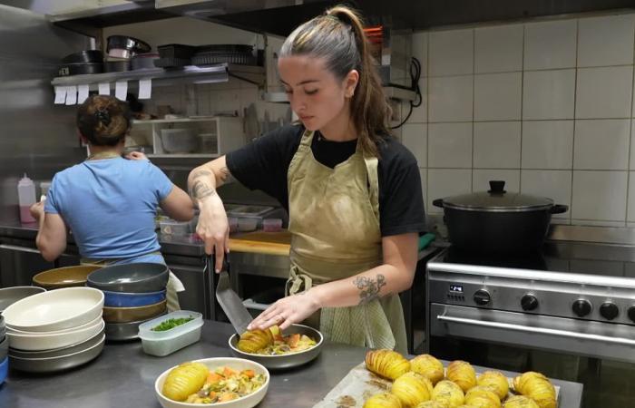 “There is something other than meat in Limousin!” The vegetarian catering market is doing well in Haute-Vienne