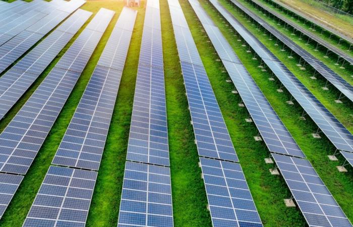 Lozère will soon have the largest solar park in Occitanie