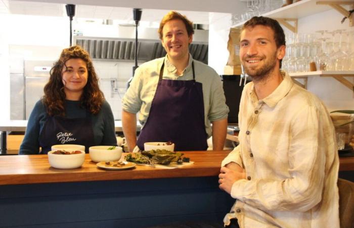 This entrepreneur puts seaweed from Brittany on chefs’ plates