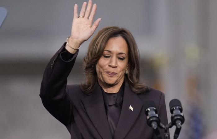 Democratic US presidential candidate Kamala Harris acknowledges defeat, but ‘will never give up the fight’