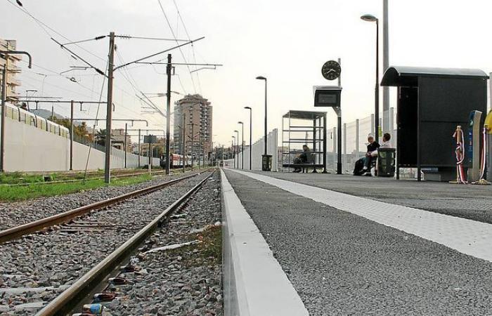 No buses or trams run in Grenoble after the attack on a controller