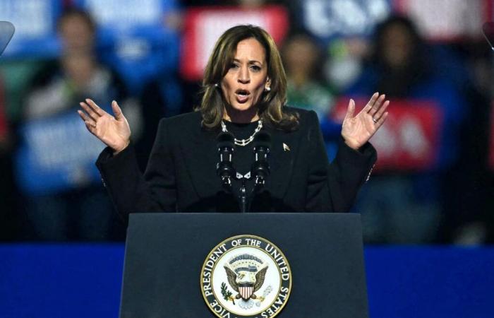 Kamala Harris, the reasons for a defeat