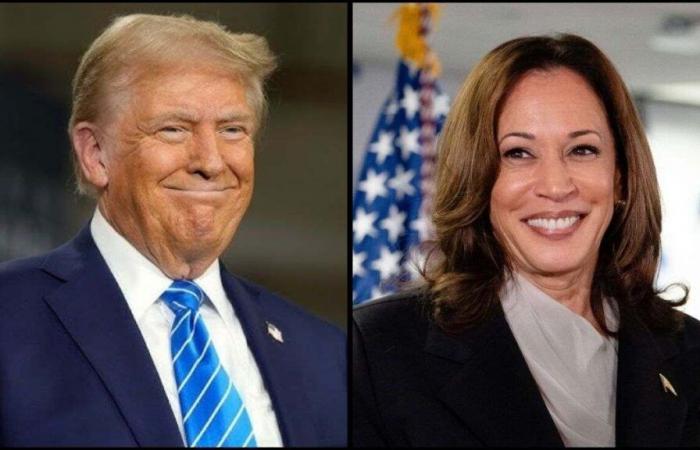 What if Trump and Harris Tie? How Will The Winner be Decided?