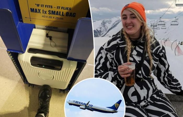 Plane passenger shocked by ludicrous ‘money-making’ baggage fee