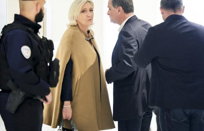 “Marine knows all that…”: at the trial of RN parliamentary assistants, Marine Le Pen back on the stand