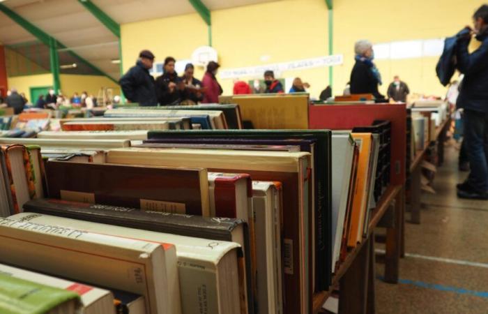 In Vendôme, he saves tons of books promised to be destroyed