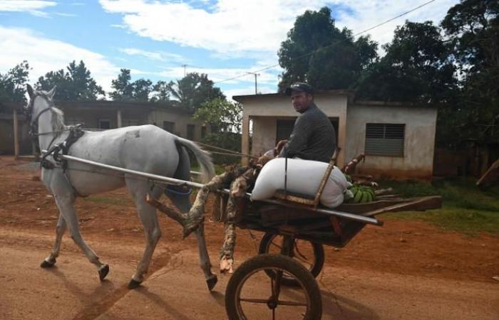 Hurricane Rafael hits Cuba, the island completely deprived of electricity