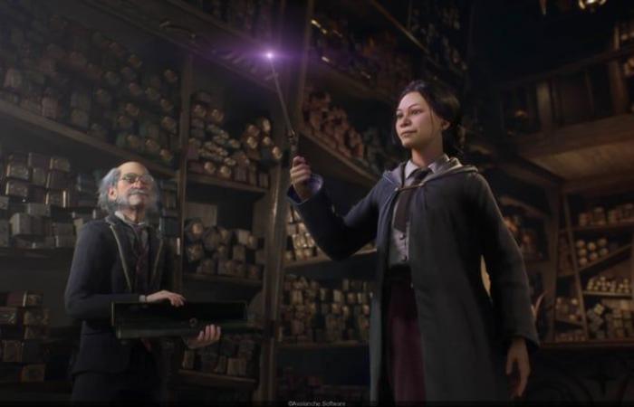 Hogwarts Legacy 2: the best video game in the Harry Potter series will have a sequel!