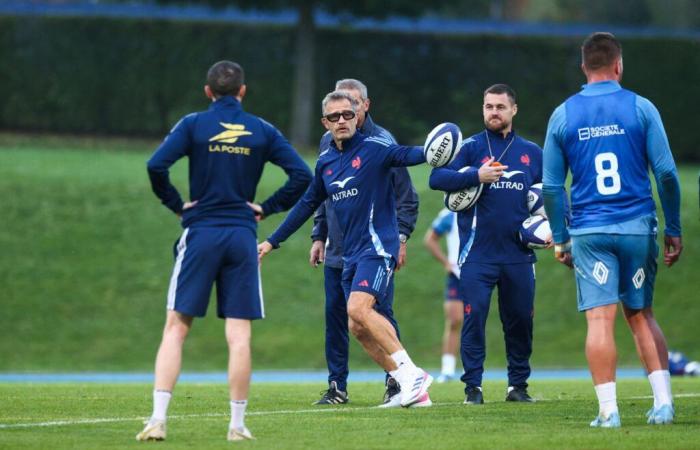 XV of France: “He will stay for a long time”, a new star is arriving?