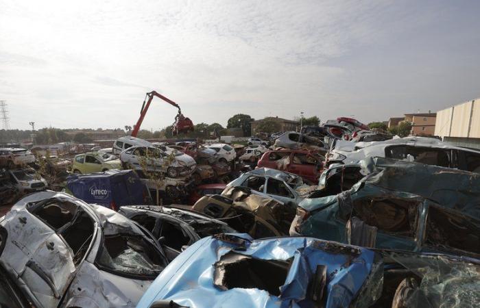 Deadly floods in Spain: why do relatives of the missing have to provide their DNA?