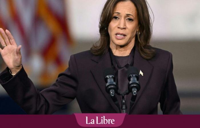 American election: what to remember from Kamala Harris’ concession speech