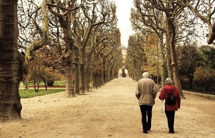 “Every day we suffer”: a couple of American expatriates return to the United States after a year, no longer able to bear living in France