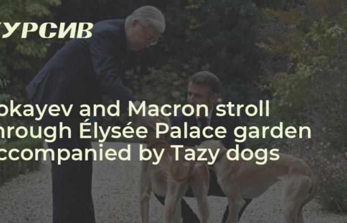 Tokayev and Macron stroll through Élysée Palace garden accompanied by Tazy dogs — – 06.11.2024