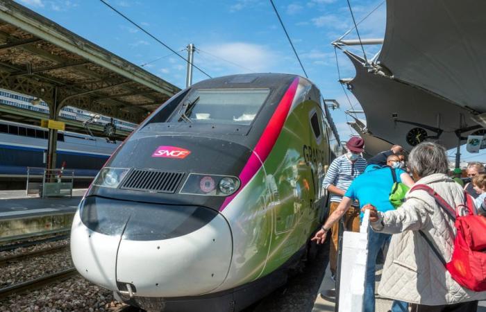 “I’m not going to get tired of 5 hours on the train”, the TGV Paris