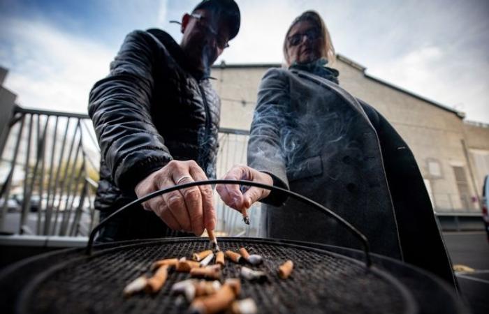 Being followed by a tobacco specialist promotes cessation: “With support, you have a 20 to 30% greater chance of quitting”