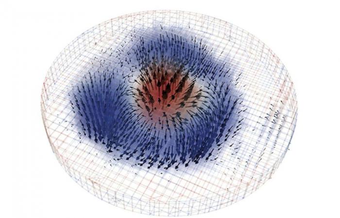 Researchers obtain first 3D image of a magnetic skyrmion